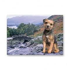 Border terrier greetings for sale  Delivered anywhere in UK