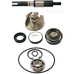 Far kit revisione usato  Spedito ovunque in Italia 