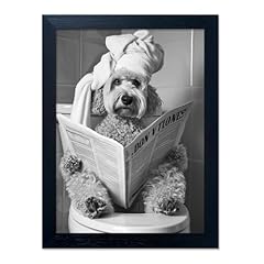 Funny bathroom decor for sale  Delivered anywhere in USA 