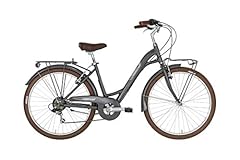 Alpina bike bicicletta usato  Spedito ovunque in Italia 