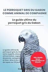 Perroquet gris gabon d'occasion  Livré partout en France
