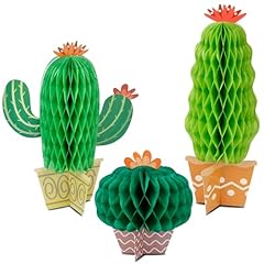 Karaqy pcs cactus for sale  Delivered anywhere in USA 