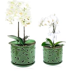 Buymax set orchid for sale  Delivered anywhere in USA 