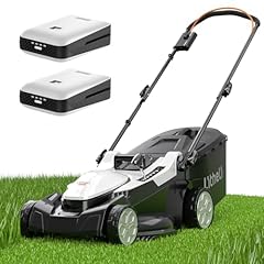 Litheli 40v electric for sale  Delivered anywhere in USA 