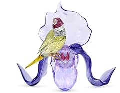 Swarovski idyllia gouldian for sale  Delivered anywhere in USA 