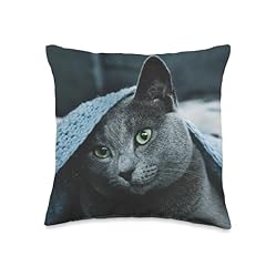 Russian blue cat for sale  Delivered anywhere in USA 