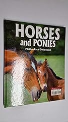 Horses ponies photo for sale  Delivered anywhere in USA 