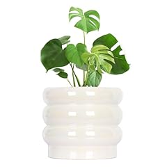 Yffsrjdj inch ceramic for sale  Delivered anywhere in USA 