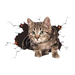 Jnnj niedliche katze gebraucht kaufen  Wird an jeden Ort in Deutschland