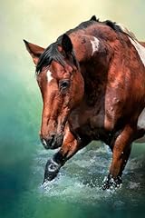 Paint horse water for sale  Delivered anywhere in USA 