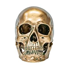 Ecyc resin human for sale  Delivered anywhere in USA 