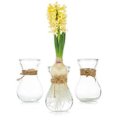 Glass vases flowers for sale  Delivered anywhere in UK