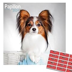 Papillon calendar 2024 for sale  Delivered anywhere in Ireland