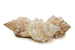 Nautical crush trading for sale  Delivered anywhere in USA 