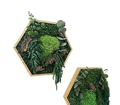 Moos hexagon urban gebraucht kaufen  Wird an jeden Ort in Deutschland