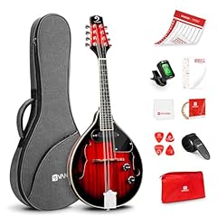 Vangoa stile mandolino usato  Spedito ovunque in Italia 