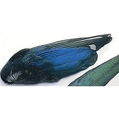 Magpie wings fly for sale  Delivered anywhere in UK