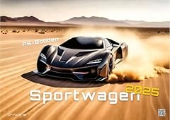 Sportwagen boliden 2025 gebraucht kaufen  Wird an jeden Ort in Deutschland