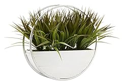 Grass round hanging for sale  Delivered anywhere in USA 