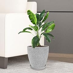Flower pot indoor for sale  Delivered anywhere in USA 