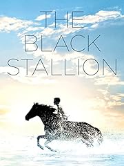 The black stallion usato  Spedito ovunque in Italia 