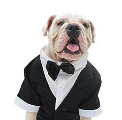 Lovelonglong bulldog costume for sale  Delivered anywhere in USA 