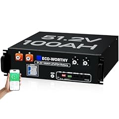 Eco worthy 48v for sale  Delivered anywhere in UK