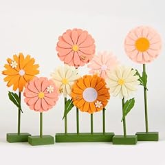 Sunbeauty pcs gänseblümchen gebraucht kaufen  Wird an jeden Ort in Deutschland