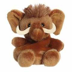 Aurora adorable palm for sale  Delivered anywhere in USA 