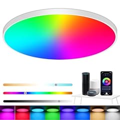 Eregou lampada soffitto usato  Spedito ovunque in Italia 