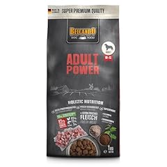 Belcando adult power gebraucht kaufen  Wird an jeden Ort in Deutschland