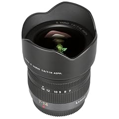 Panasonic f007014e lente usato  Spedito ovunque in Italia 