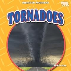 Tornadoes d'occasion  Livré partout en France