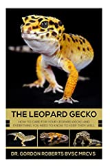 Leopard gecko care for sale  Delivered anywhere in Ireland