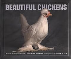 Beautiful chickens portraits for sale  Delivered anywhere in UK