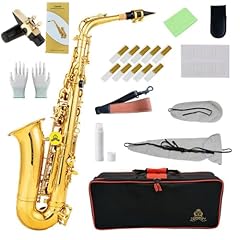 Yasisid alto saxophone for sale  Delivered anywhere in USA 
