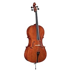 Soundsation pce violoncello usato  Spedito ovunque in Italia 