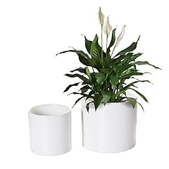 Nihow flower pot for sale  Delivered anywhere in USA 