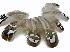 Feathers pheasant feathers for sale  Delivered anywhere in USA 