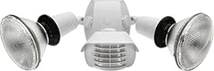 Rab lighting gt500rw for sale  Delivered anywhere in USA 
