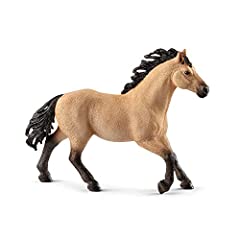 Quarter horse stallion for sale  Delivered anywhere in USA 
