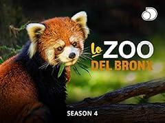 Zoo del bronx usato  Spedito ovunque in Italia 