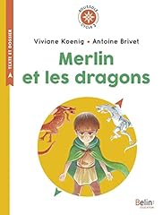 Merlin dragons boussole d'occasion  Livré partout en France