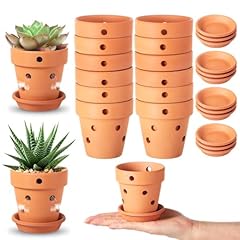 Felistory pack terracotta for sale  Delivered anywhere in USA 