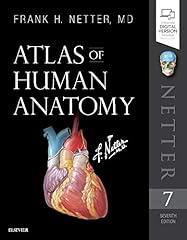 Used, Atlas of Human Anatomy for sale  Delivered anywhere in Canada
