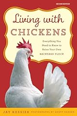 Living chickens everything for sale  Delivered anywhere in USA 
