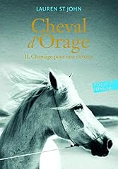 Cheval orage t2 d'occasion  Livré partout en France