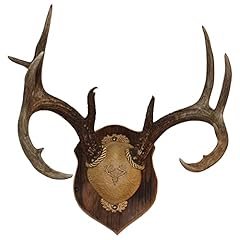 Outdoor hunting lab for sale  Delivered anywhere in USA 