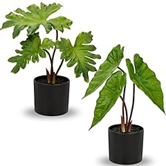 Hollyone fake plants for sale  Delivered anywhere in USA 