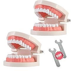 Pack standard teeth for sale  Delivered anywhere in USA 